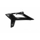 RADIATOR SCOOPS BETA RR 20-23 + RX 22-23 - BLACK