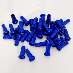 Écrou de Rayon (pack x36) - Bleu