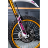 FORK1 Automatic Launch Contol - Custom-made