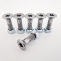 Kit Sprocket Screws (TORX)